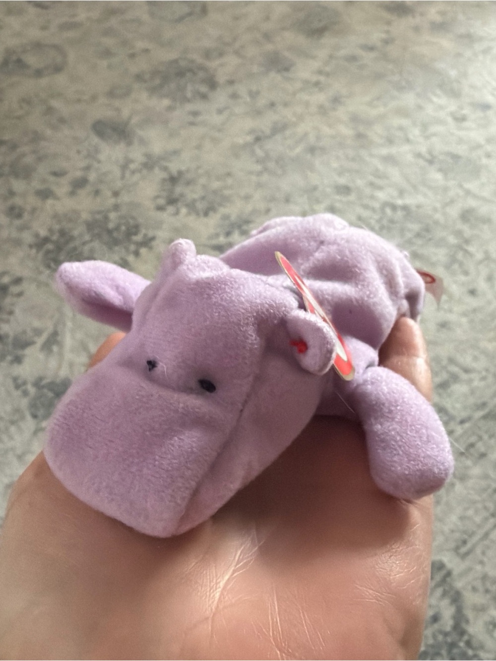 Ty Teenie Beanie Baby Lilac Hippo Plush- Happy